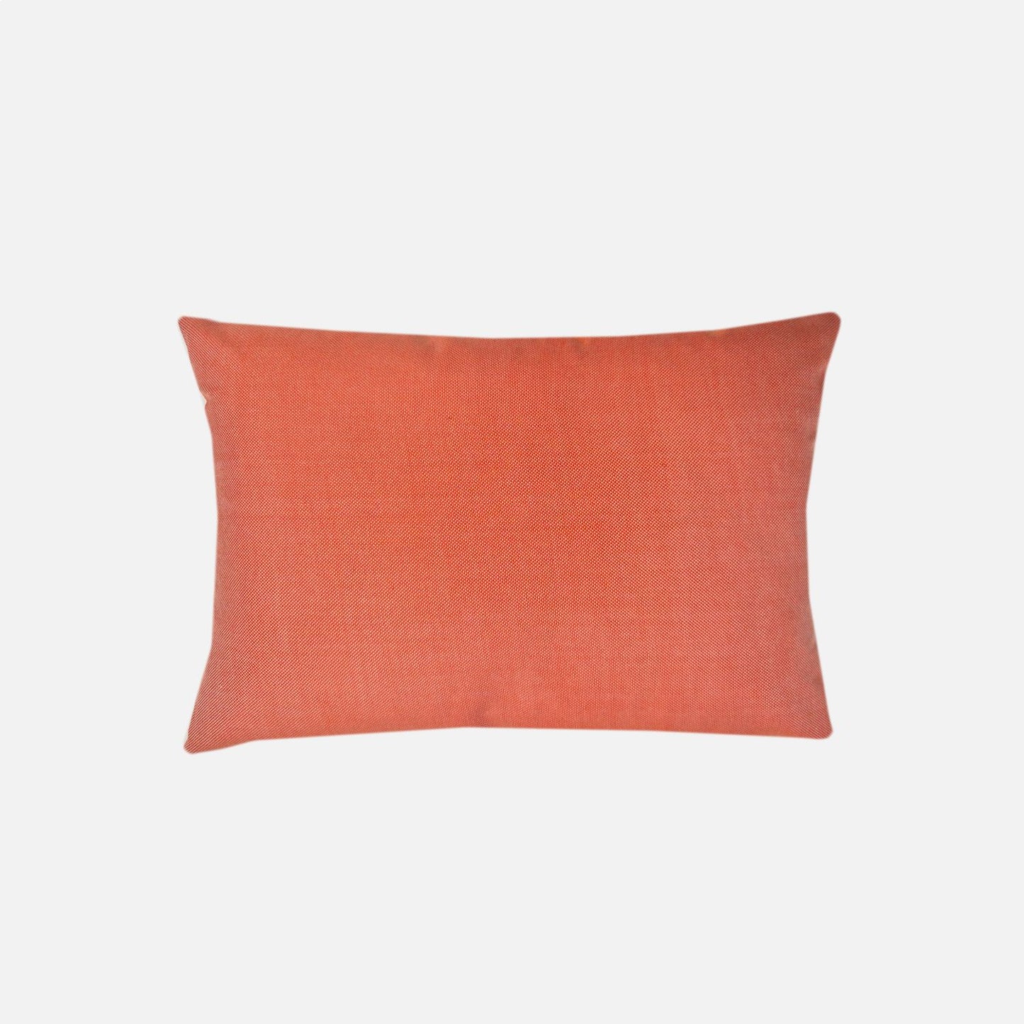 Terrace | Apricot