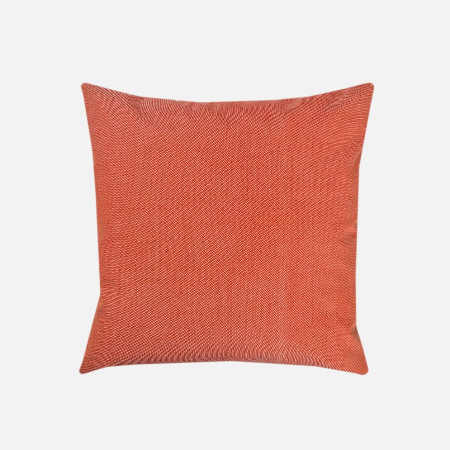 Terrace | Apricot