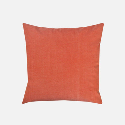 Terrace | Apricot