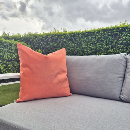 Terrace | Apricot
