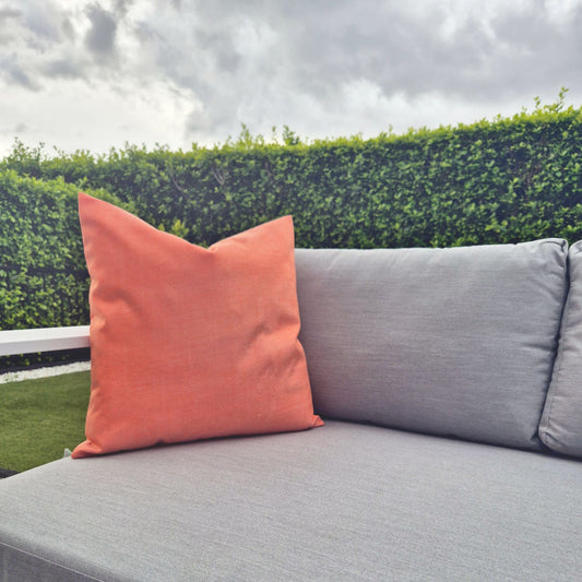 Terrace | Apricot
